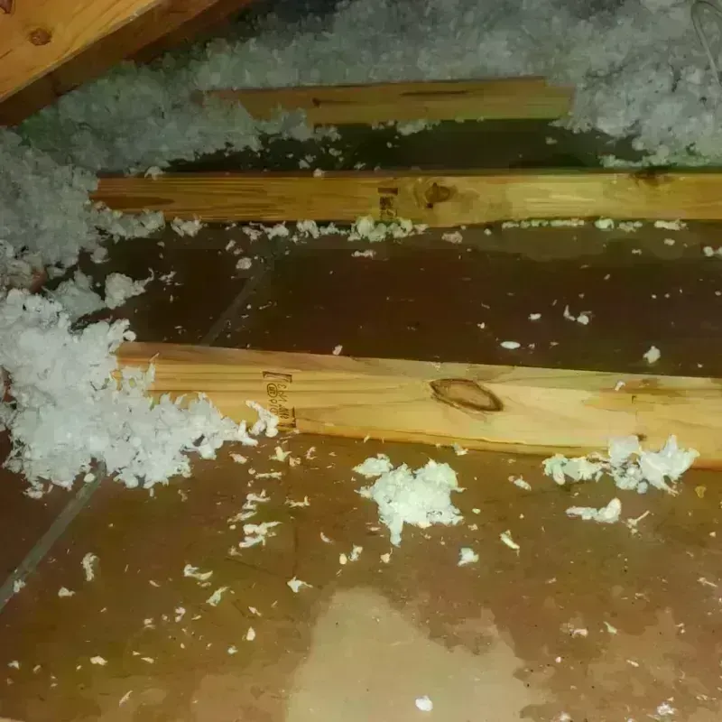 Attic Water Damage in Springview, NE